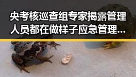 央考核巡查组专家揭露管理人员都在做样子应急管理部启动地质灾害四级应急响应引发关注